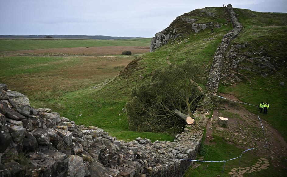 Sycamore Gap