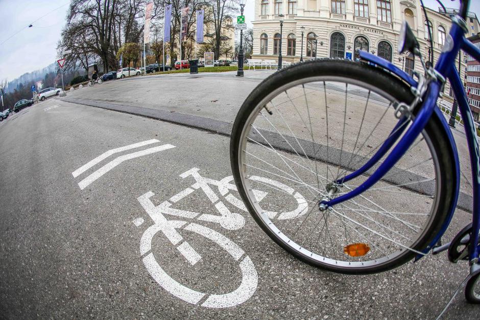 kolesarska steza | Avtor: Saša Despot