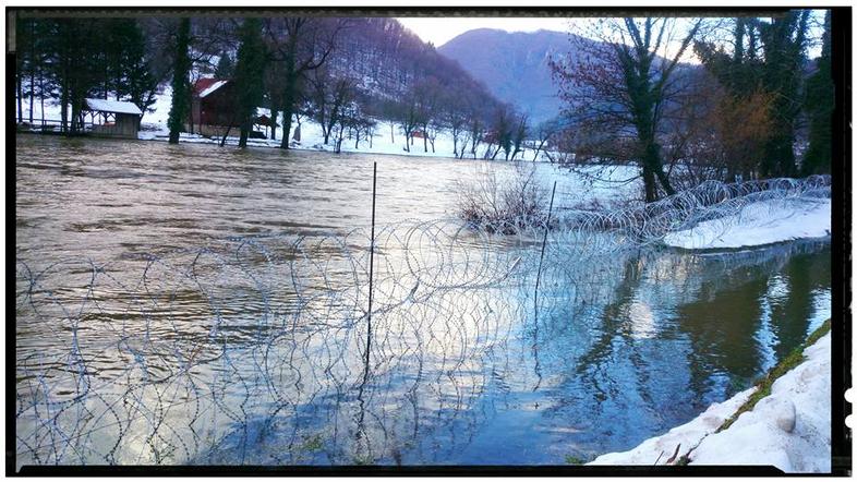 Žica, Kolpa