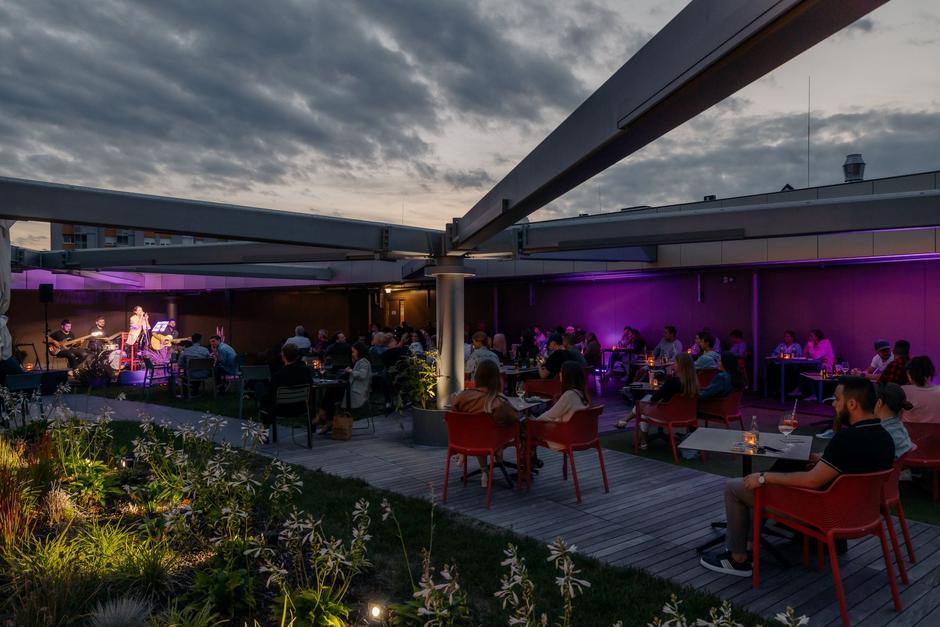 Aleja | Avtor: Aleja