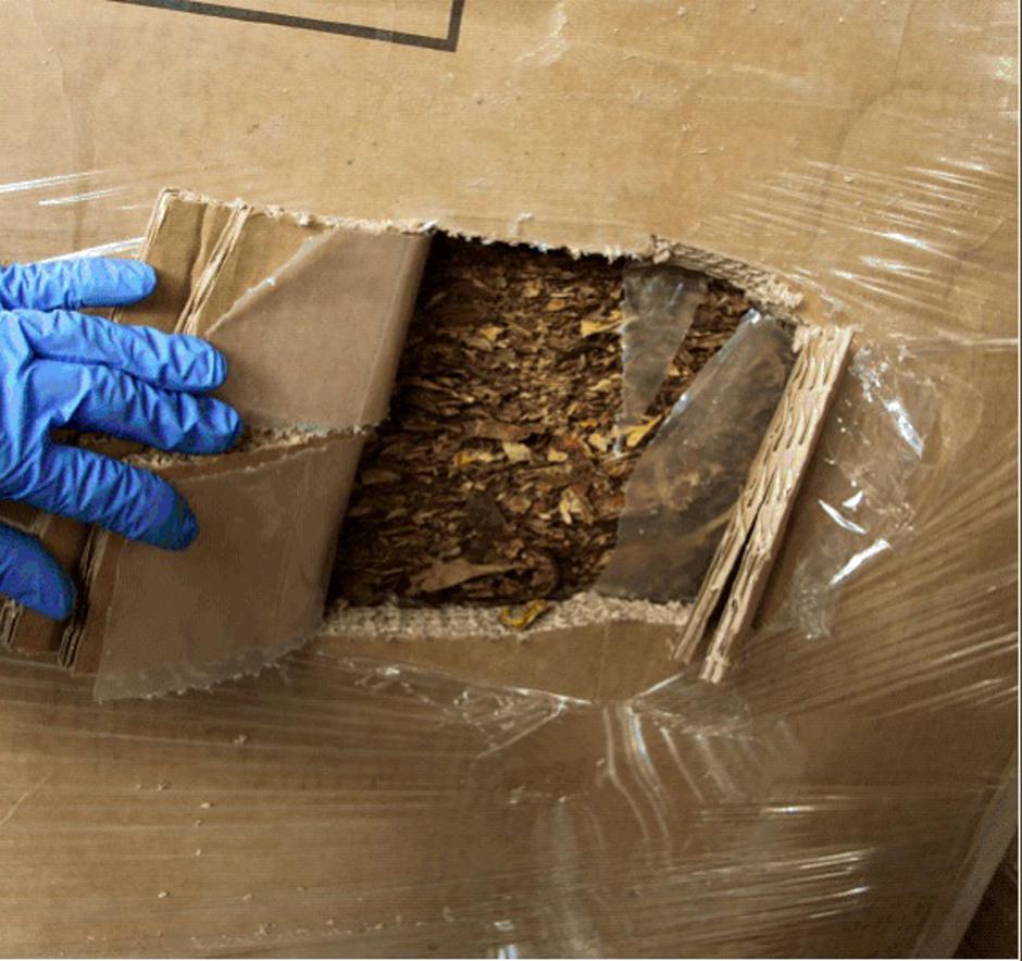 Razkritje nezakonite proizvodnje tobaka | Avtor: FURS