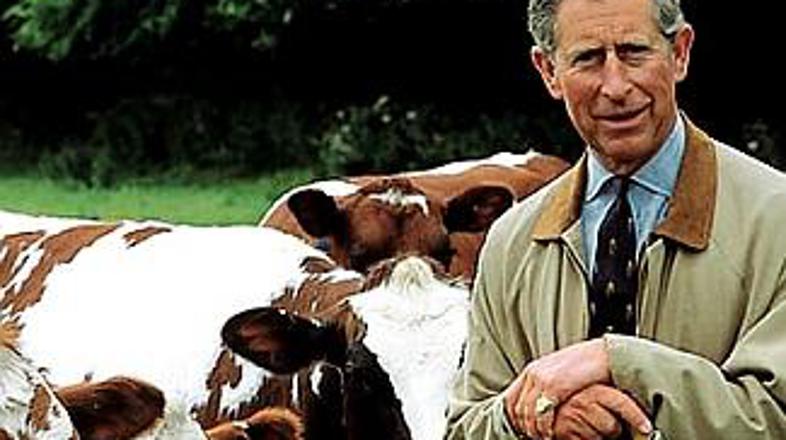 Princ Charles je ekološki kmetovalec, borec za čisto okolje, iskalec alternativn