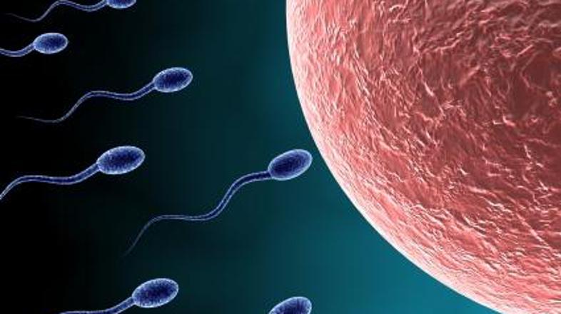 Verjetnost rojstva iz zamrznjenega jajčeca naj bi bila zgolj 2-odstotna.