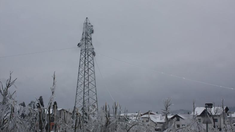 Žled v Postojni