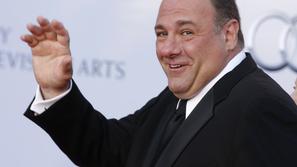 BAFTA, James Gandolfini