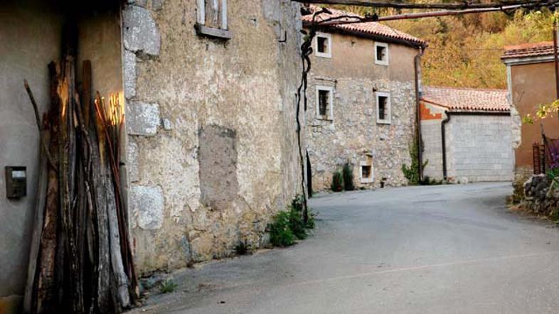 (Foto: Barabara Milavec)