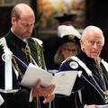 princ William, kralj Karel
