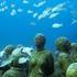 Silent Evolution, Jason deCaires Taylor, Cancun