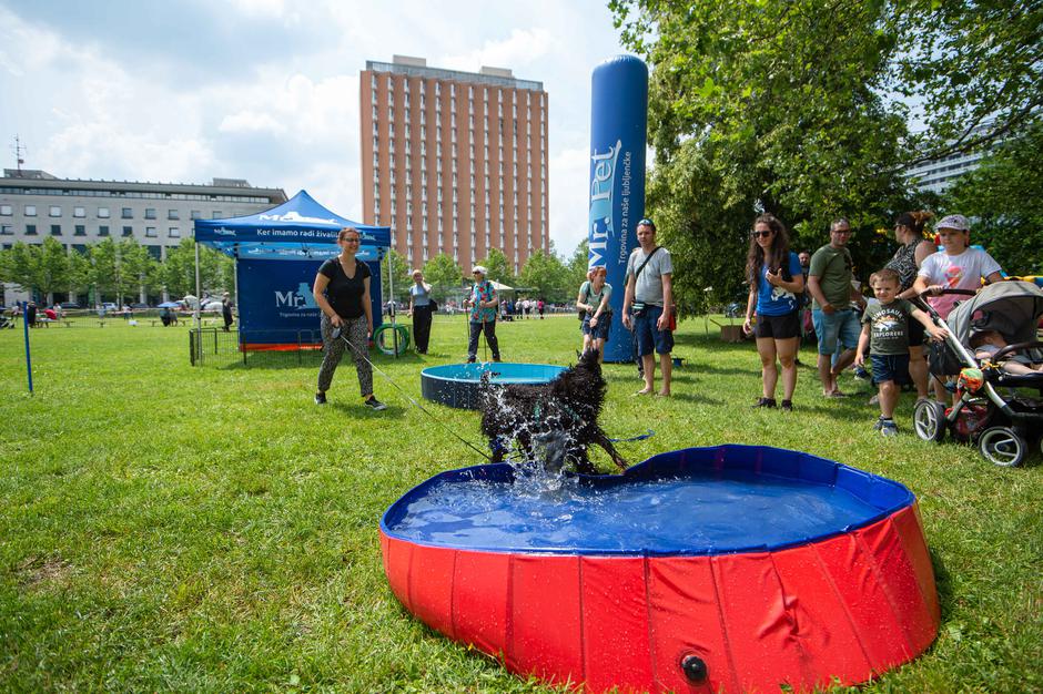 Festival za ljubitelje živali 2023 | Avtor: Anže Petkovšek