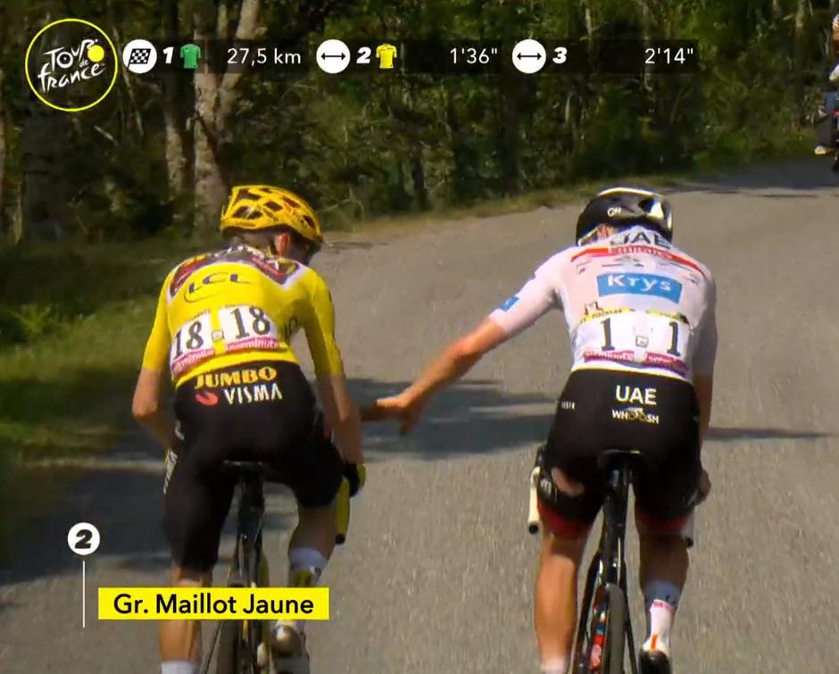  | Avtor: Reševalni pas/Twitter