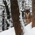 Zoo Ljubljana