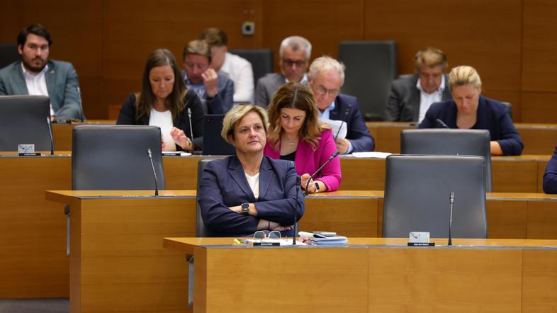 poslanci državni zbor sds jelka godec