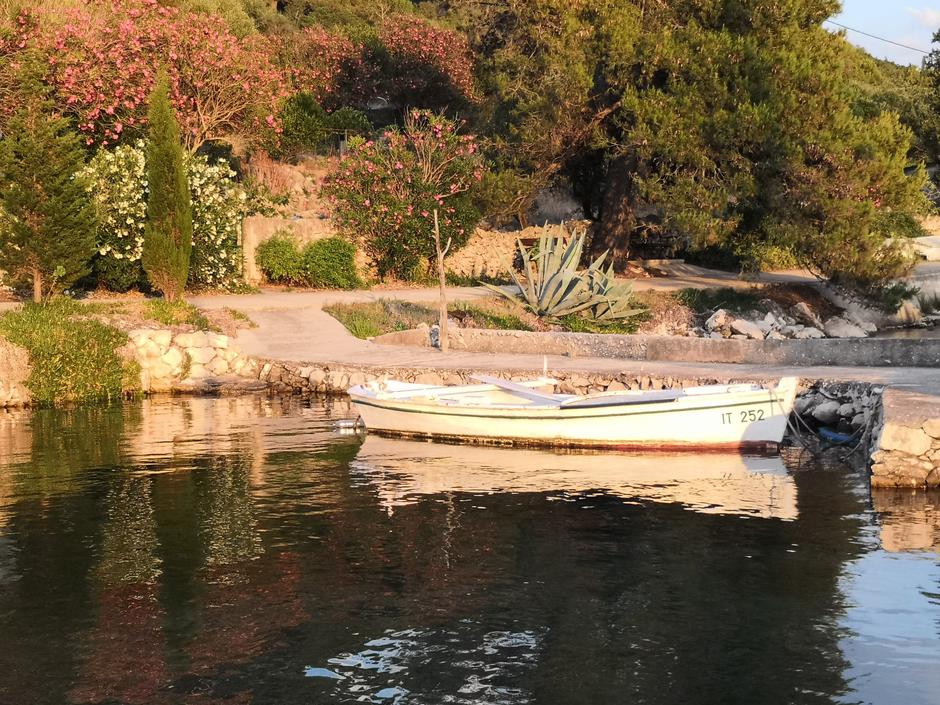 Honor 10 | Avtor: Matej Košir