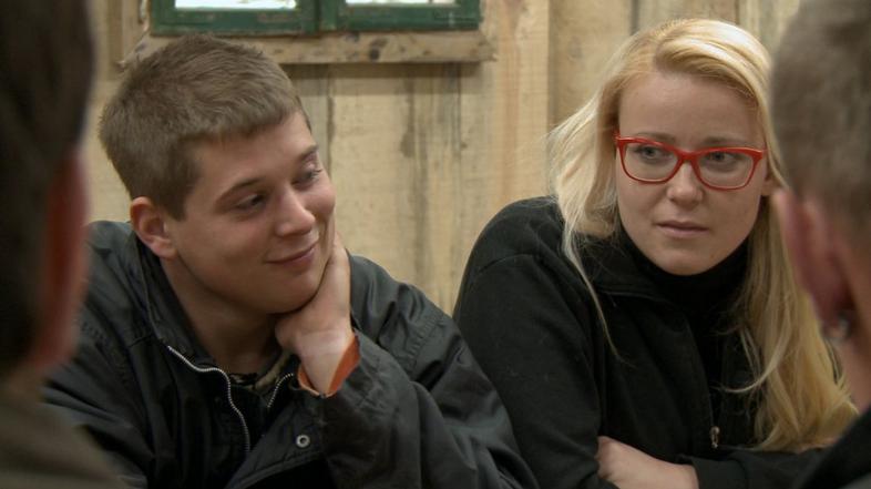 kmetija: nov začetek