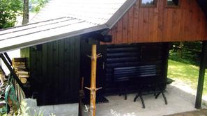 Brunarico, ki je odlično izhodišče za več poti na Kriško goro, uporablja Silva K