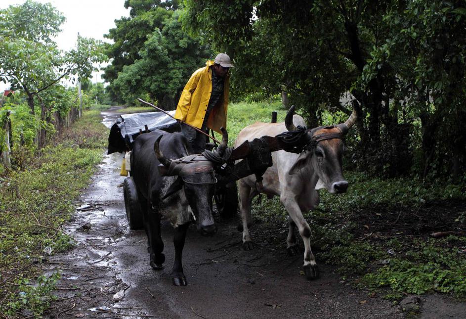 Izbruh vulkana v Nikaragvi z domo vpregnal 3.000 ljudi