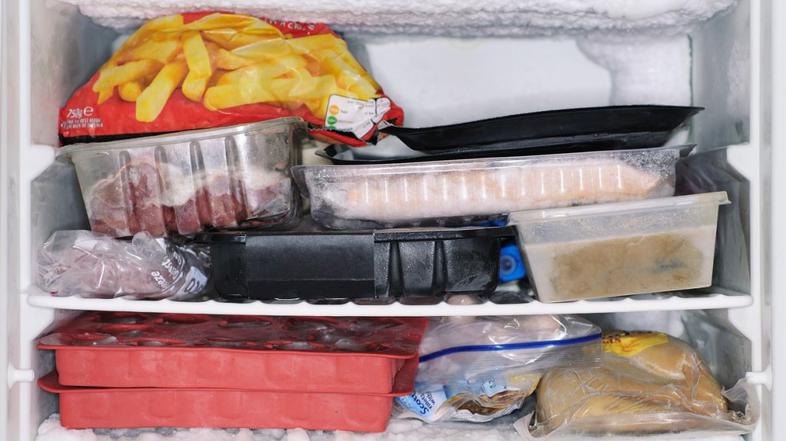 zamrzovalnik živila