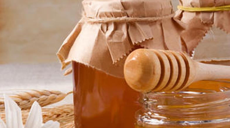 Fotografija je simbolična. (Foto: Shutterstock)