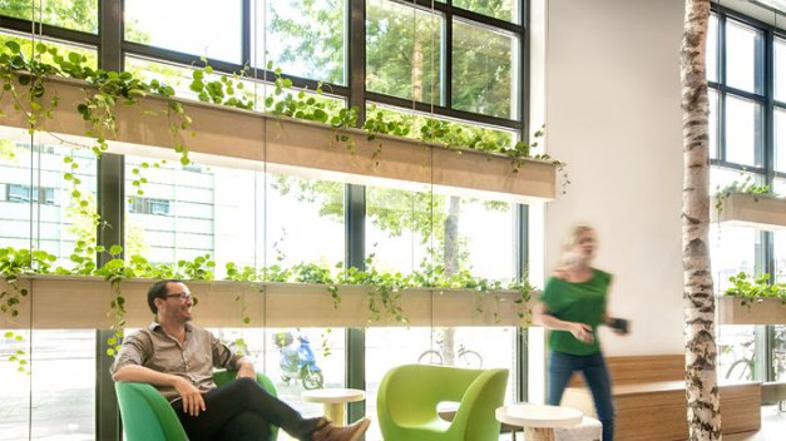 sodobne lončnice_cube