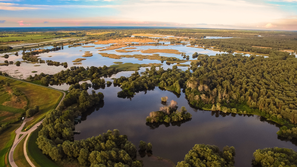 Naravni park Kopački rit