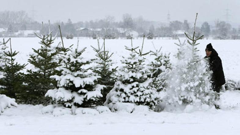 Zaradi obilnega sneženja je na avstrijskem Koroškem brez elektrike ostalo več st