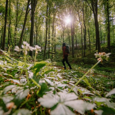 TZ Zagorje