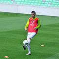 iličić trening stožice slovenija pred belgija 2011