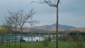 (Foto: Veronika Rupnik)