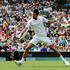 Đoković Djoković Ferrero Wimbledon prvi krog tenis