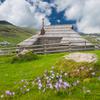 Velika planina