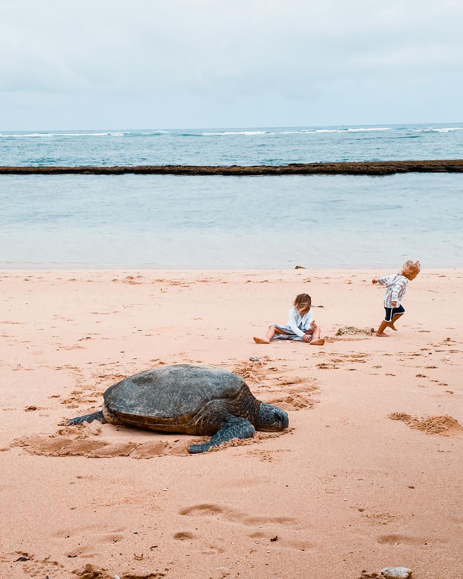 Ivjana Banić | Avtor: Ivjana Banić