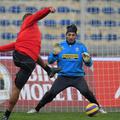 buffon_main_action