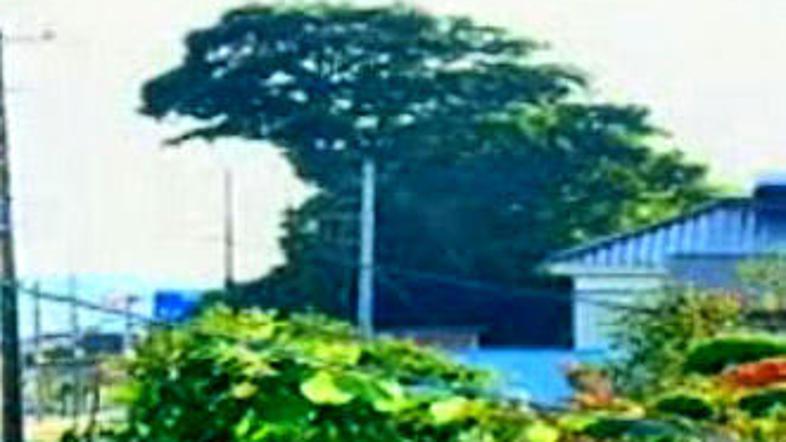 Vam požene strah v kosti?