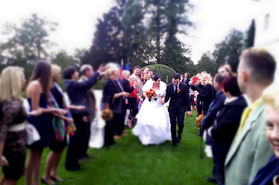 alenka gotar, anže šuštar