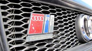 Zbor audijev v Trebnjem