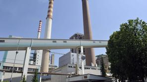 (Foto: Gregor Katič)