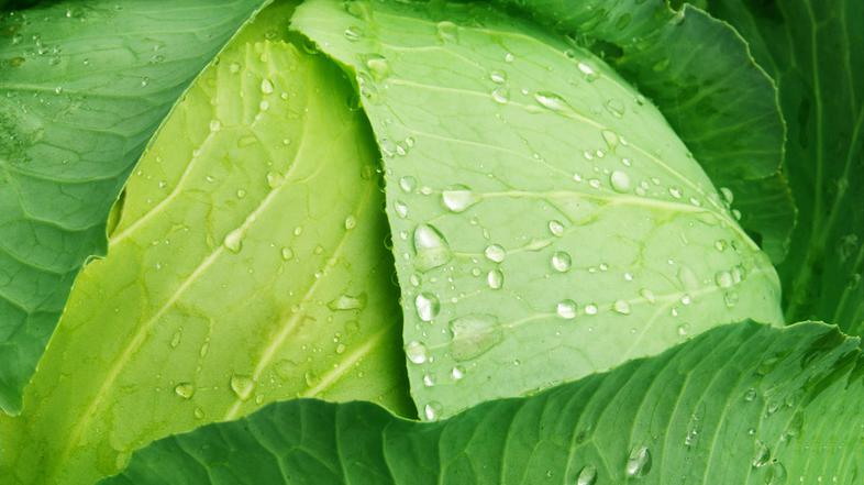 Izberite zelenjavo in sadje, ki sta sezonska in sta do nas potovala čim manj.