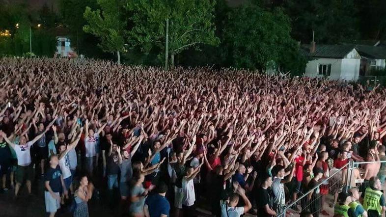 crvena zvezda navijači