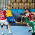 RK Celje Pivovarna Laško vs. Aalborg Handbold