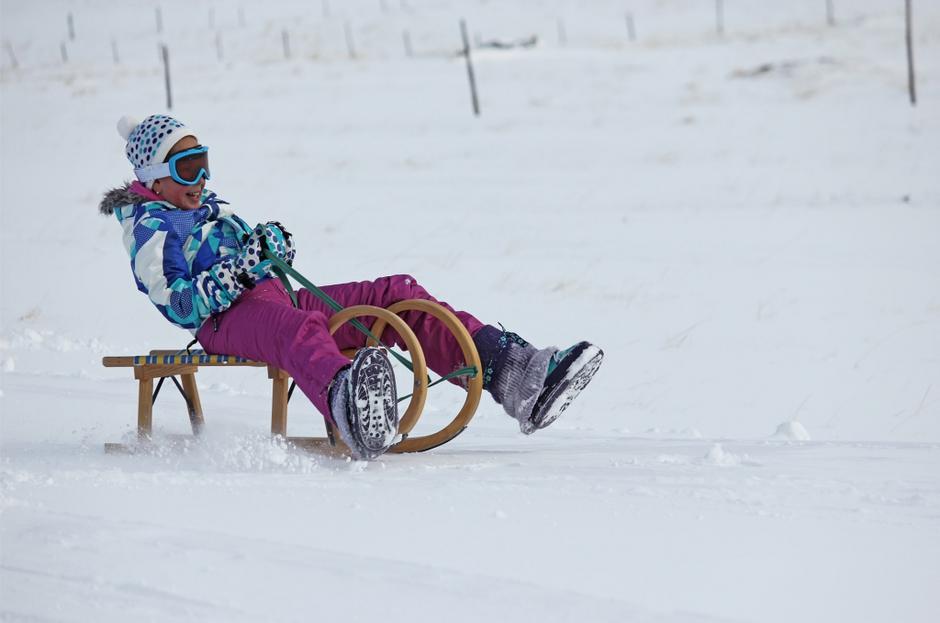 Zivljenje 19.02.13, sankanje, sanke, foto: shutterstock | Avtor: Shutterstock