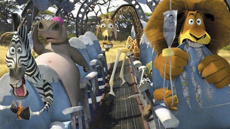 Kaj vse jih čaka ...