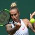 polona hercog wimbledon 2017