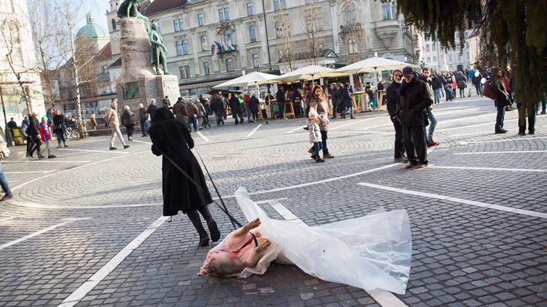 Performans 100KG, vlečenje prašiča po ulicah Ljubljane