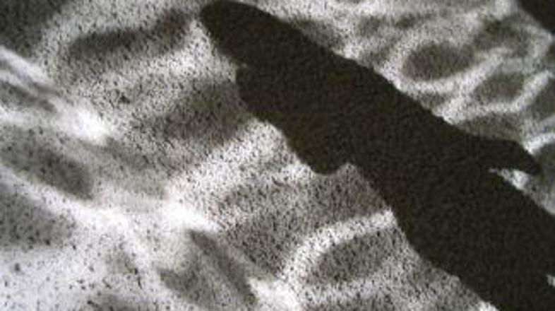 Rak dojk je med najpogostejšimi raki pri ženskah.