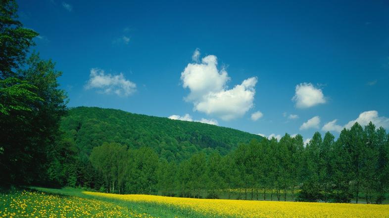 Pomlad, pokrajina