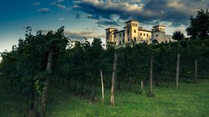 Ena žlahtna štorija