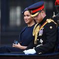 meghan markle, princ harry