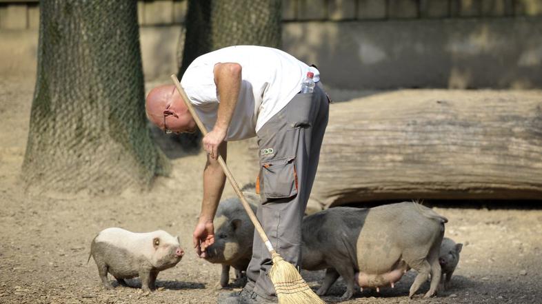 Živalski vrt Ljubljana