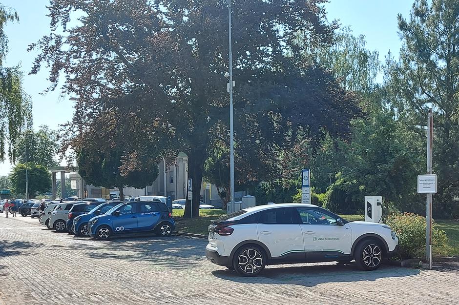 Rdeča bukev, Kranj | Avtor: M. Ha.