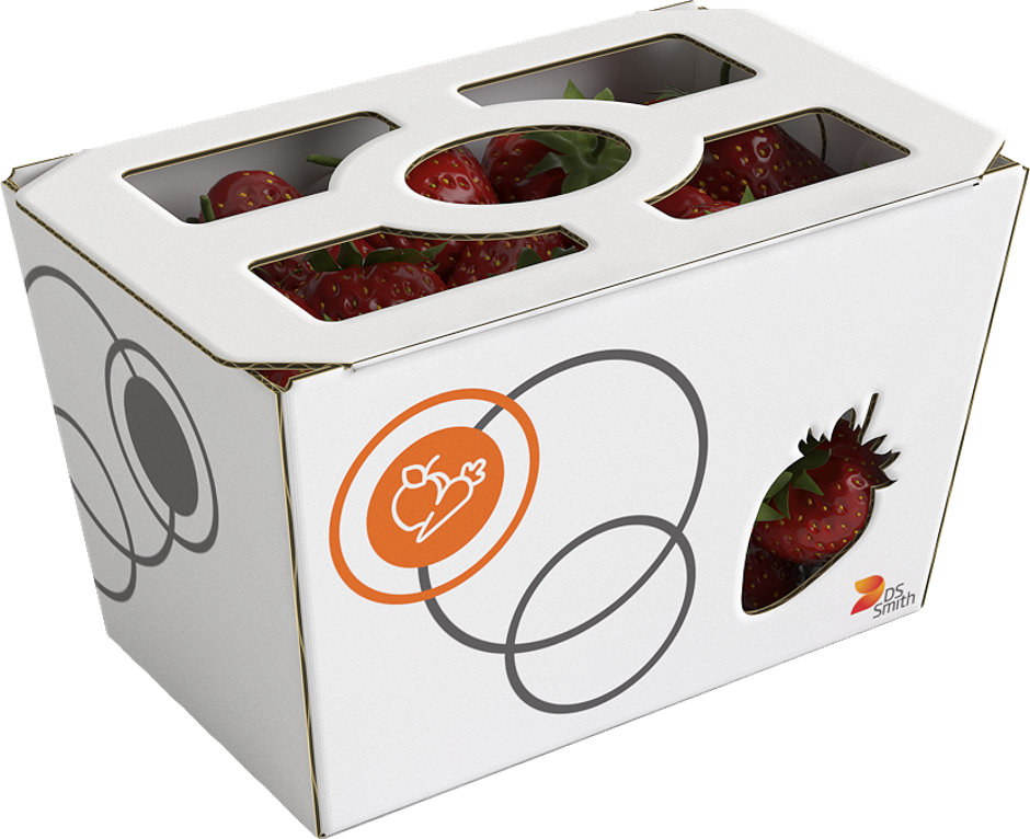 kartonasta embalaža | Avtor: Jaka Ceglar